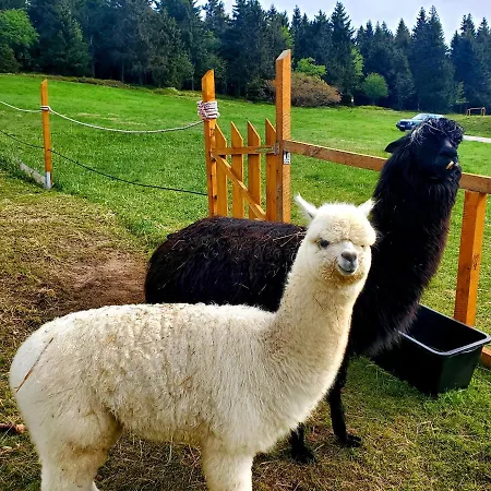 Ξενοδοχείο Horsky Kolinska Bouda 3*